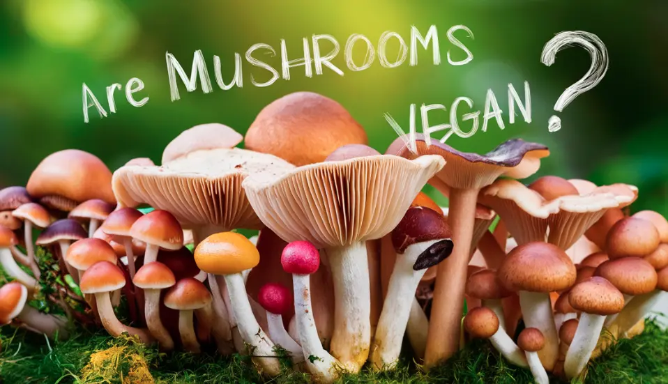 Are mushrooms vegan?